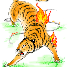 Человек и тигр