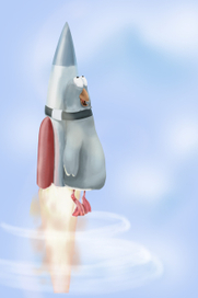 fly on rocket