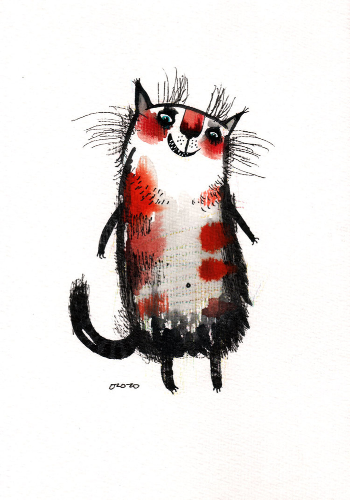 кошка Белка