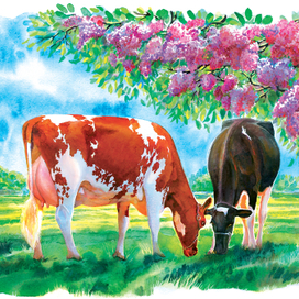 коровки для настольного и настенного календарей