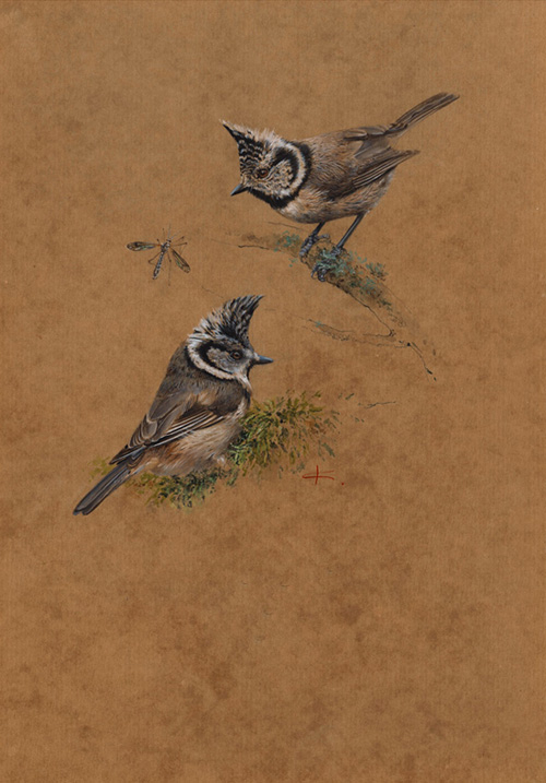 Гренадёрки