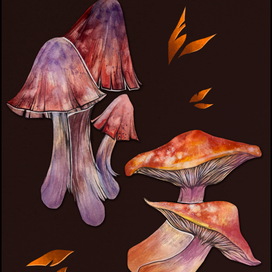 Акварельные грибы 