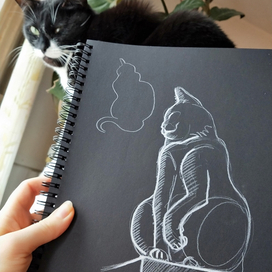 Не одобрила