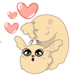 Кукис, морской кролик 