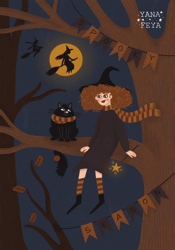 Волшебная ночь