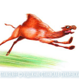 иллюстрация \ верблюд опоздал