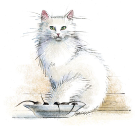 Кошка большая и маленькая