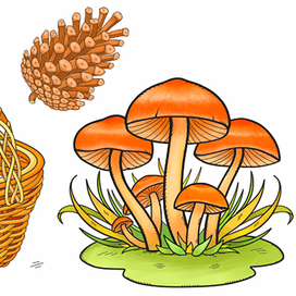 Корзинка, грибы. Иллюстрация для детского обучающего пособия