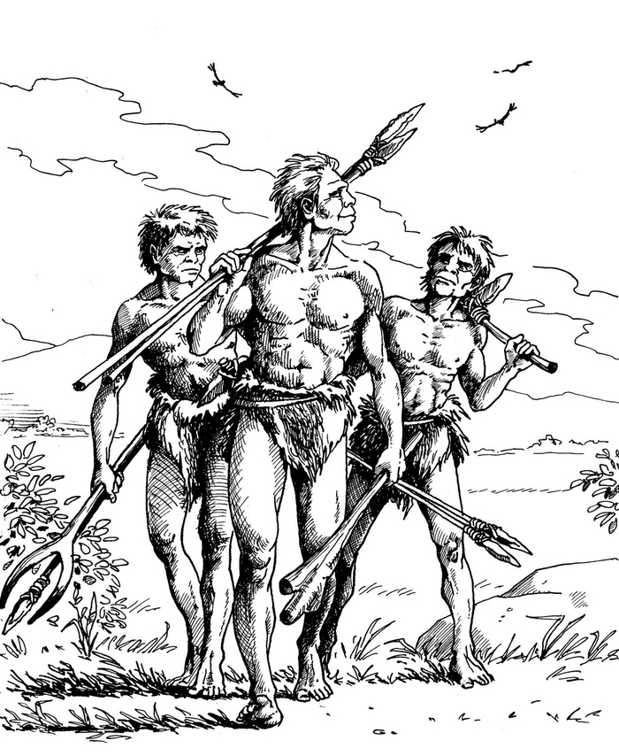 Нао, Нам и Гав