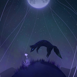 Ночная лисица