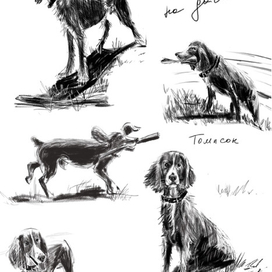 Томсон любит играть