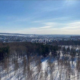 Ноксинский Лес Восток