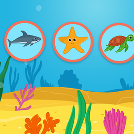 Животные моря