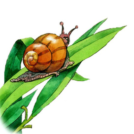 Заставка к детскому журналу