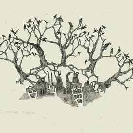 Прусские корни.