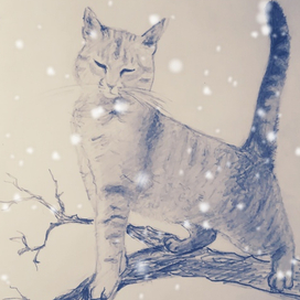 Кот снежный