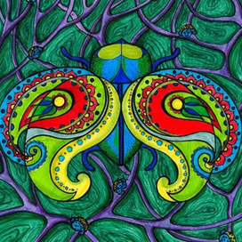 Индийский жук