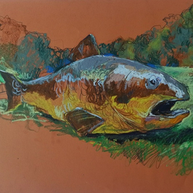 рыба в Луге