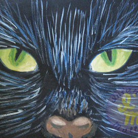 Кошачий взгляд