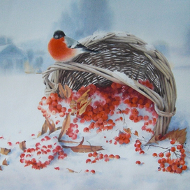 Припорошило