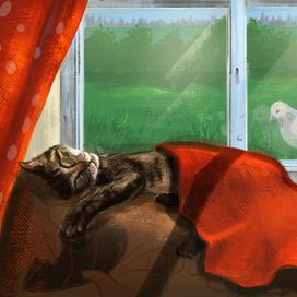 Спящий котик