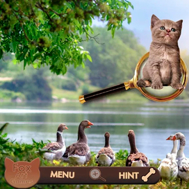 интерфейс и фон