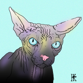 На лицо ужасный- добрый внутри.