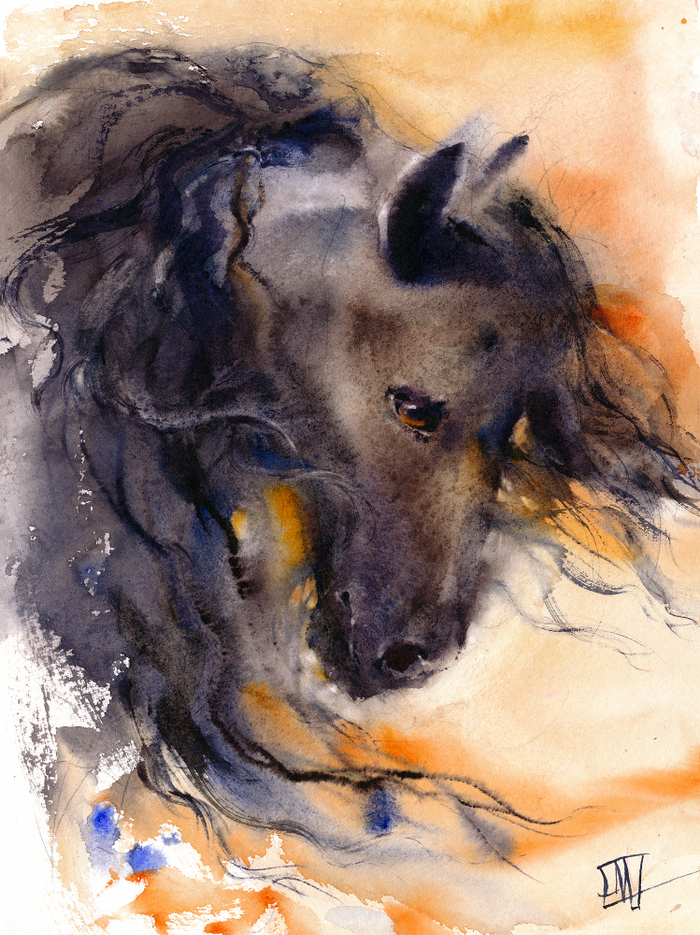 Черная лошадка