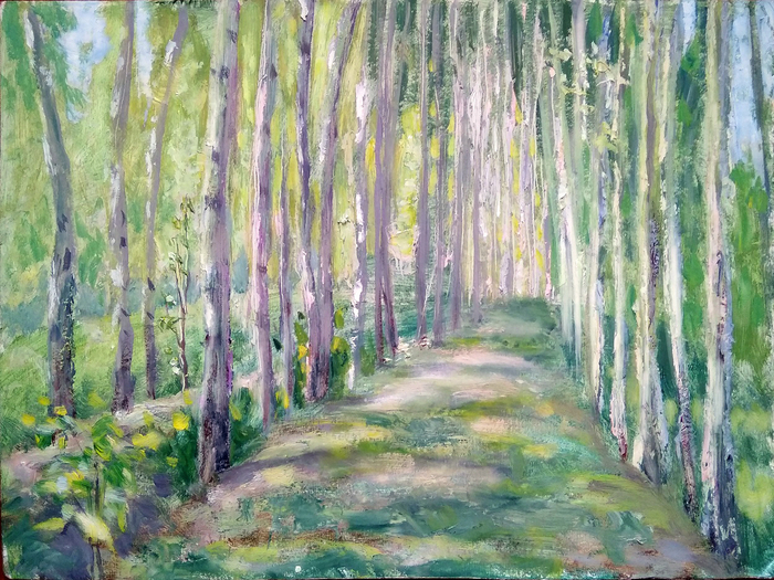 Зимою-лето, осенью-весна..))