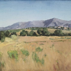  Виноградники Палегри