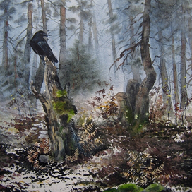 Холодный ноябрь, но такой таинственный