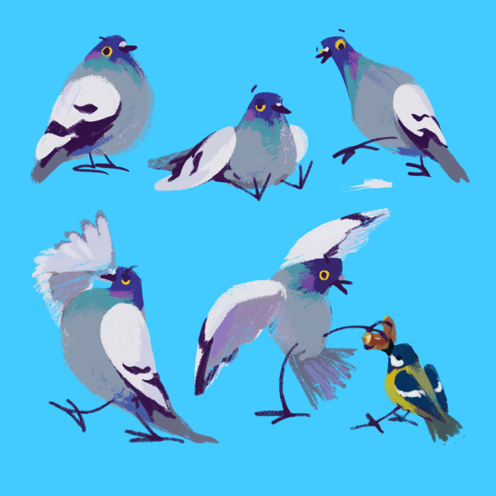 Эскизы птиц