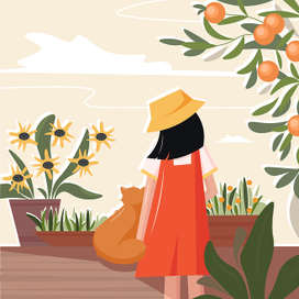 Теплый летний вечер 