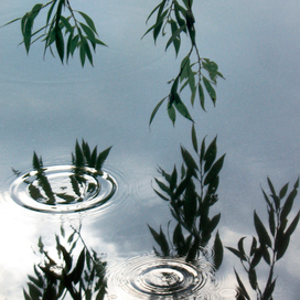 Последняя капля ...