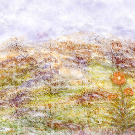 КОГДА ВЫПАЛ СНЕГ...