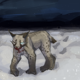 победитель