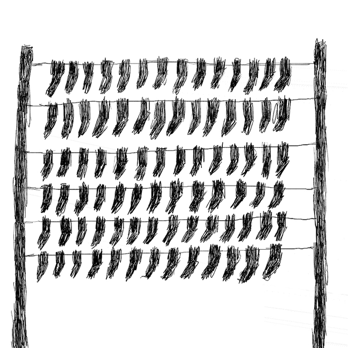 Носки прилетели! 