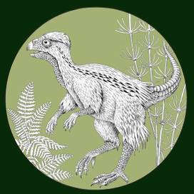 Кулиндадромеус (лат. Kulindadromeus)