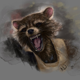 Ракета енот 