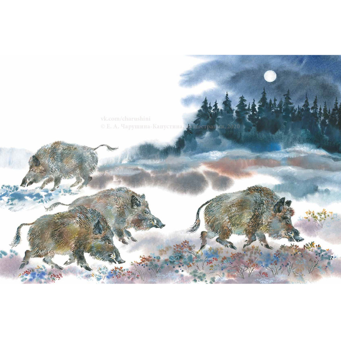 Иллюстрация к авторской книге "Тайны сентября" (2019)