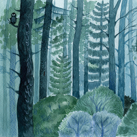 Ночь в лесу