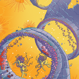 Гонки с препятствиями