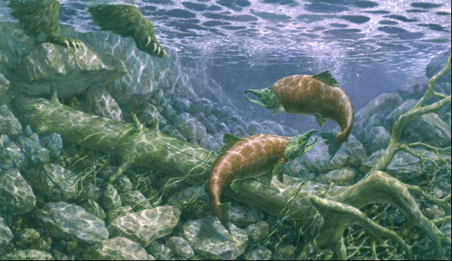 Опасные воды