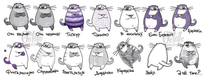 люди любят котиков