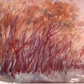 Уже триста шагов до рыбалки