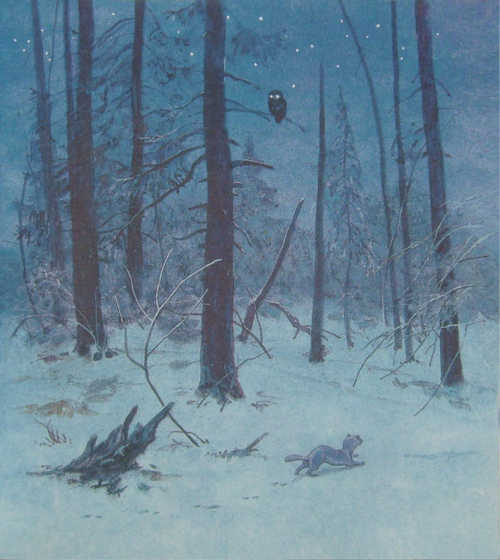 Ночь в зимнем лесу