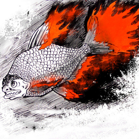 Огненный лещ