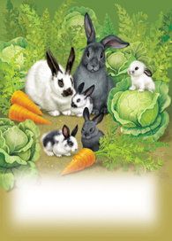 Кролики это не только ценный мех...