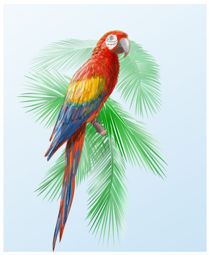 Попугай "Ara macao"