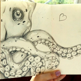 осьминожек 